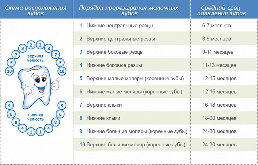 К чему снятся выпавшие зубы с кровью и без крови? И все обернулись! Как носить платья с открытой спиной? www